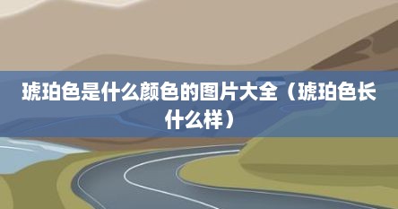 琥珀颜色是什么样的（琥珀色和浅琥珀色是什么颜色）