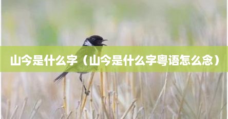 山今是什么字（山今是什么字粤语怎么念）