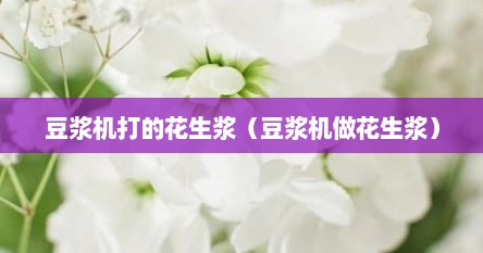 豆浆机打的花生浆（豆浆机做花生浆）