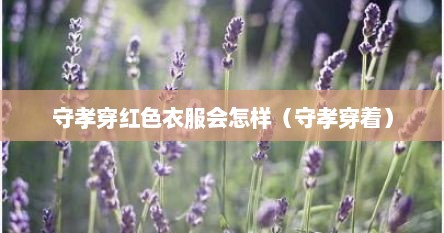 守孝穿红色衣服会怎样（守孝穿着）