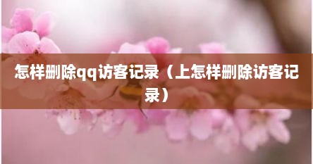 怎样删除qq访客记录（上怎样删除访客记录）