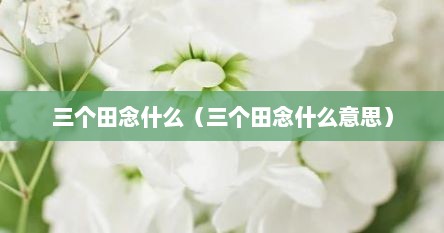 三个田念什么（三个田念什么意思）