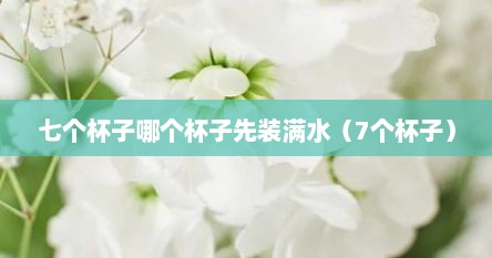 七个杯子哪个杯子先装满水（7个杯子）