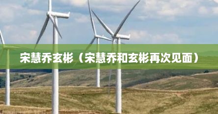宋慧乔玄彬（宋慧乔和玄彬再次见面）