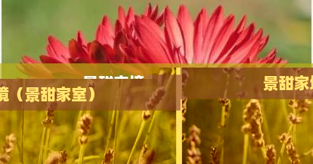 景甜家境（景甜家室）