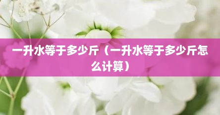 一升水等于多少斤（一升水等于多少斤怎么计算）