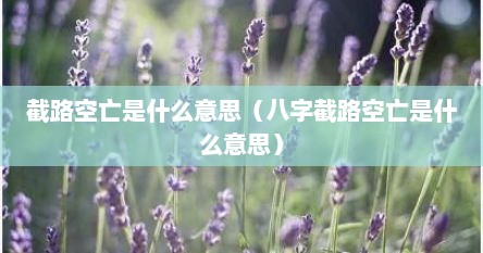 截路空亡是什么意思（八字截路空亡是什么意思）