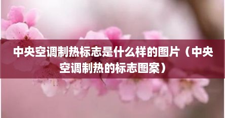 中央空调制热标志是什么样的图片（中央空调制热的标志图案）