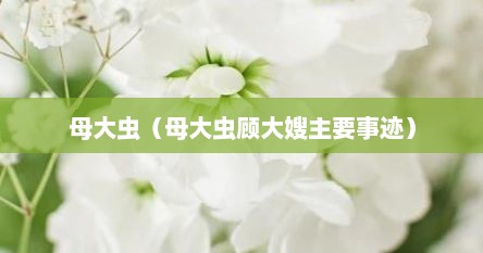 母大虫（母大虫顾大嫂主要事迹）