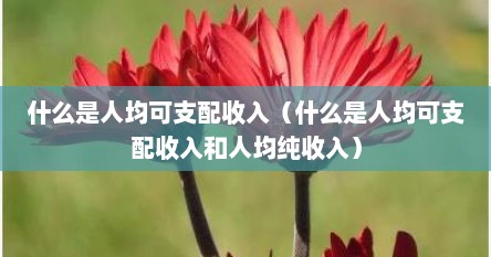 什么是人均可支配收入（什么是人均可支配收入和人均纯收入）