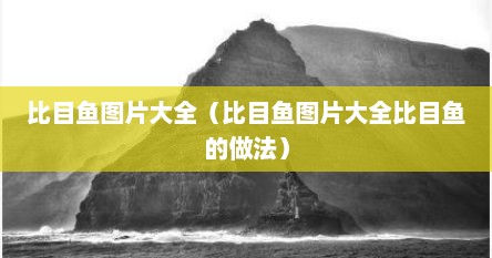 比目鱼图片大全（比目鱼图片大全比目鱼的做法）