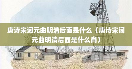 唐诗宋词元曲明清后面是什么（唐诗宋词元曲明清后面是什么肖）