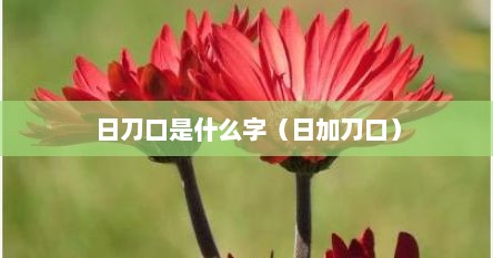 日刀口是什么字（日加刀口）