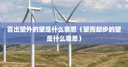 喜出望外的望是什么意思（望而却步的望是什么意思）