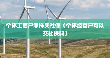 个体工商户怎样交社保（个体经营户可以交社保吗）