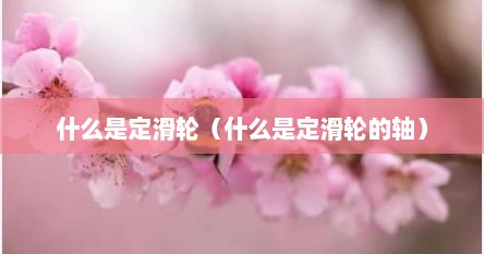 什么是定滑轮（什么是定滑轮的轴）