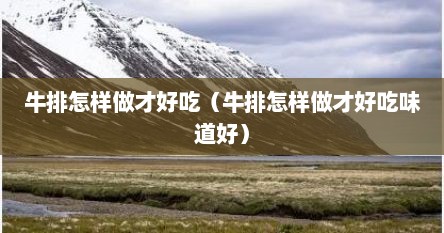 牛排怎样做才好吃（牛排怎样做才好吃味道好）
