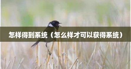 怎样得到系统（怎么样才可以获得系统）
