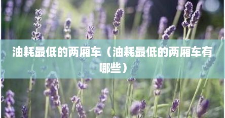 油耗最低的两厢车（油耗最低的两厢车有哪些）