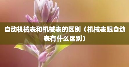 自动机械表和机械表的区别（机械表跟自动表有什么区别）