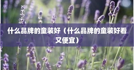 什么品牌的童装好（什么品牌的童装好看又便宜）