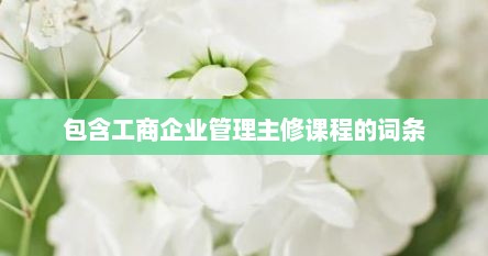 包含工商企业管理主修课程的词条