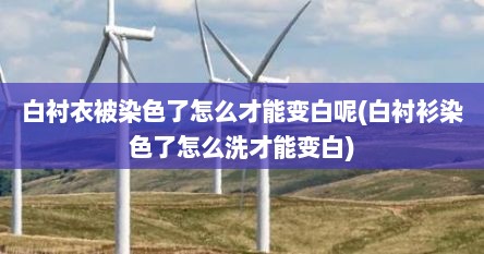 白衬衣被染色了怎么才能变白呢(白衬衫染色了怎么洗才能变白)