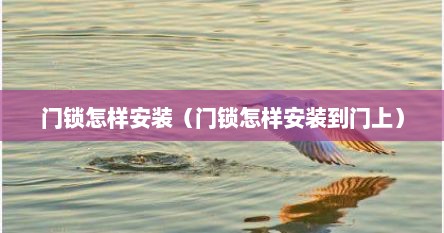 门锁怎样安装（门锁怎样安装到门上）