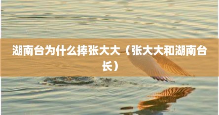湖南台为什么捧张大大（张大大和湖南台长）