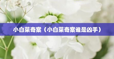 小白菜奇案（小白菜奇案谁是凶手）