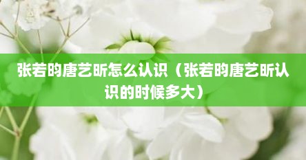 张若昀唐艺昕怎么认识（张若昀唐艺昕认识的时候多大）