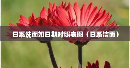 日系洗面奶日期对照表图（日系洁面）