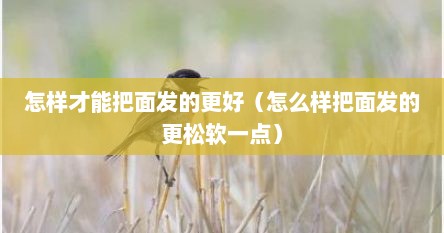 怎样才能把面发的更好（怎么样把面发的更松软一点）