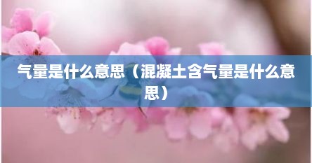 气量是什么意思（混凝土含气量是什么意思）