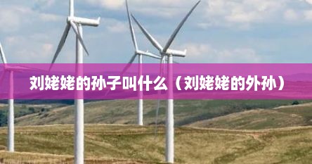 刘姥姥的孙子叫什么（刘姥姥的外孙）