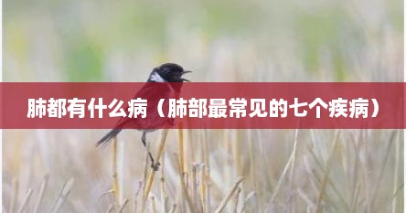 肺都有什么病（肺部最常见的七个疾病）