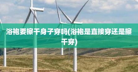 浴袍要擦干身子穿吗(浴袍是直接穿还是擦干穿)