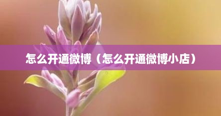 怎么开通微博（怎么开通微博小店）