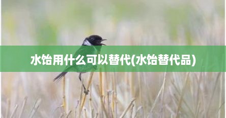 水饴用什么可以替代(水饴替代品)