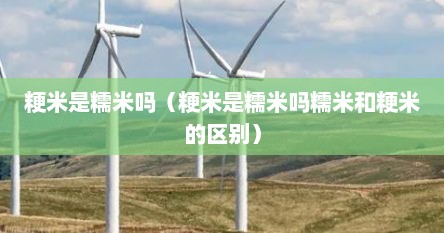 粳米是糯米吗（粳米是糯米吗糯米和粳米的区别）