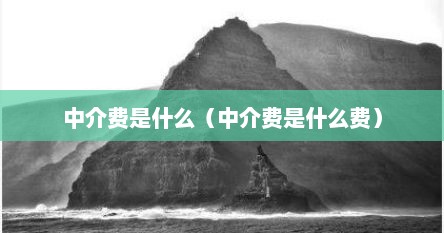 中介费是什么（中介费是什么费）