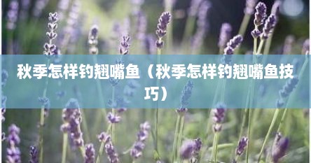 秋季怎样钓翘嘴鱼（秋季怎样钓翘嘴鱼技巧）