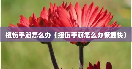 扭伤手了怎么办（扭伤手腕筋怎么办）