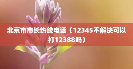 北京市市长热线电话(12345不解决可以打12388吗)