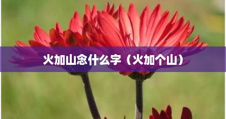 火加山念什么字（火加个山）