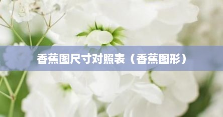 香蕉图尺寸对照表（香蕉图形）
