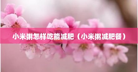 小米粥怎样吃能减肥（小米粥减肥餐）
