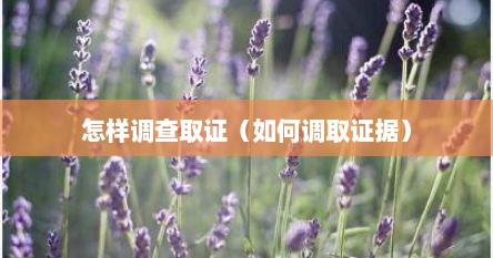 怎样调查取证（如何调取证据）