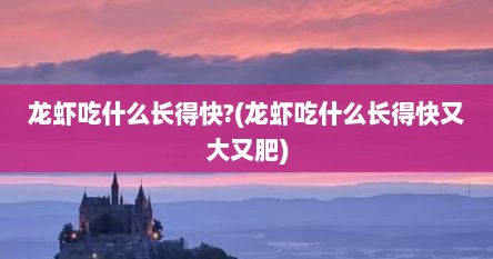 龙虾吃什么长得快?(龙虾吃什么长得快又大又肥)