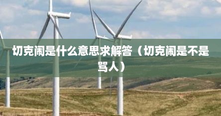 切克闹是什么意思求解答（切克闹是不是骂人）